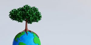 Planting the Seeds of Security: Estate Planning and Earth Day