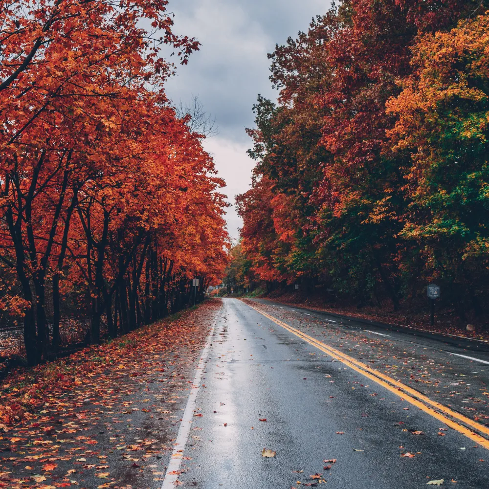 Westchester County car accident lawyer — Rose Harper Law fights for injured victims throughout NY