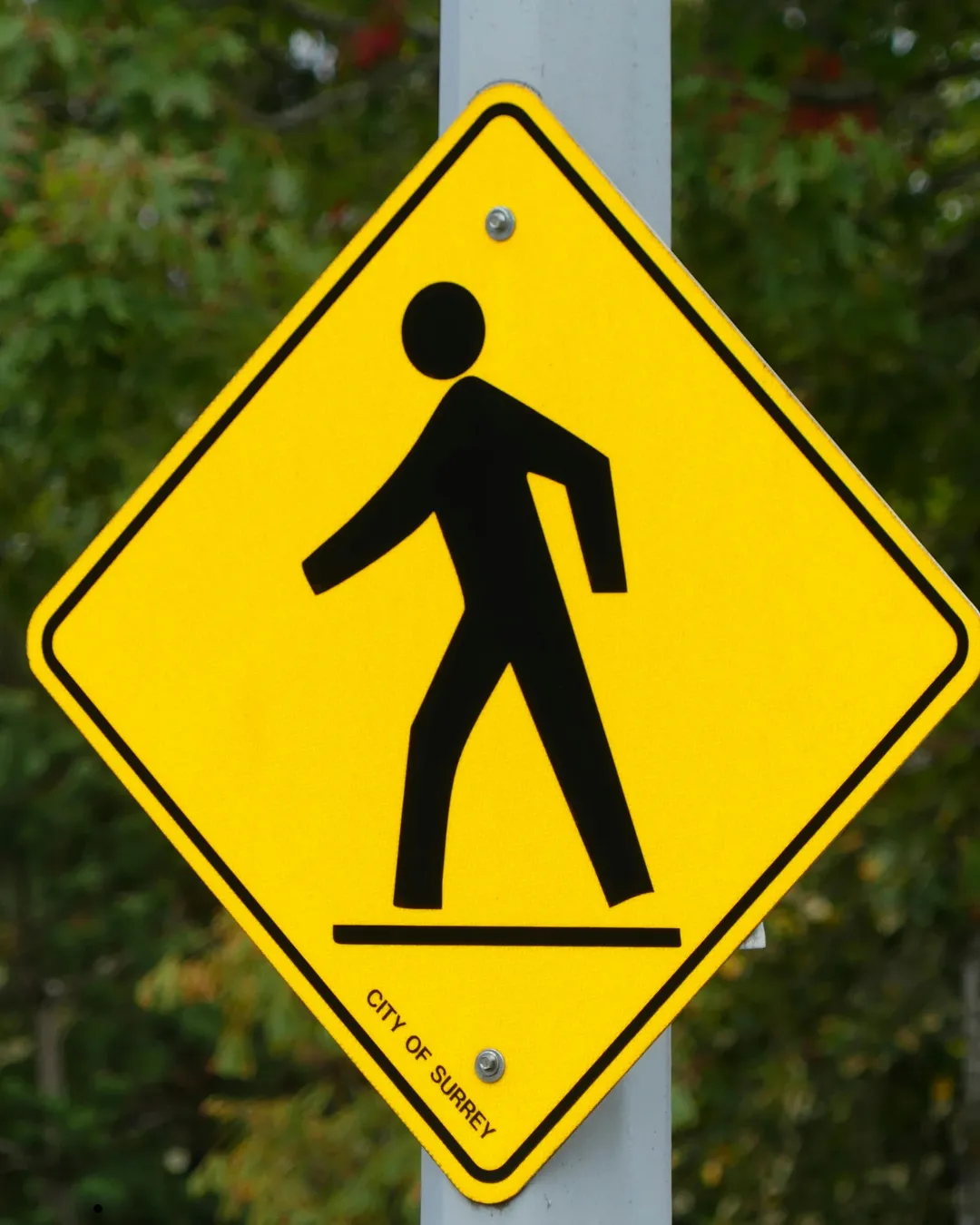 Pedestrian accident attorney serving Allentown Bethlehem and Easton PA — Rose Harper Law maximum compensation